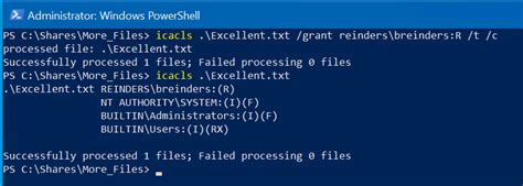 icacls recursive|Using Icacls to Manage File Permissions .